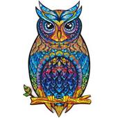 Charming Owl (M)
